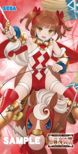 画像ギャラリー No.003のサムネイル画像 / 「三国志大戦TCG」，12月21日に大阪で開催されるイベントの概要＆物販情報