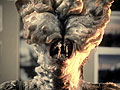 「The Last of Us」の開発者ビデオダイアリー第1弾が公開。謎の菌類に寄生されたインフェクテッドについて，詳しく解説