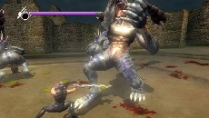 画像ギャラリー No.011のサムネイル画像 / 「NINJA GAIDEN Σ PLUS」,本日発売。初心者から上級者まで楽しめる新要素「忍びの道」の詳細が公開