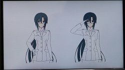 画像ギャラリー No.017のサムネイル画像 / 「トータル・イクリプス」祝・アニメ化。「マブラヴ オルタネイティヴ クロニクルズ03」の新情報も公開された，「ニコニコオルタバカ会議」レポート