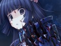 「トータル・イクリプス」祝・アニメ化。「マブラヴ オルタネイティヴ クロニクルズ03」の新情報も公開された，「ニコニコオルタバカ会議」レポート