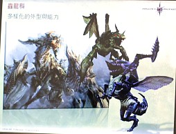 画像ギャラリー No.014のサムネイル画像 / 2012年,アエリアが満を持して贈る新作オンラインRPG「Dragon's Prophet」とは?