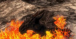 画像ギャラリー No.012のサムネイル画像 / 「Dragon's Prophet」の領地戦に新要素が登場。新ドラゴンの名前も募集中
