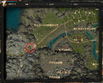 画像ギャラリー No.011のサムネイル画像 / 「Dragon's Prophet」,新ワールド「ニブルヘイム」やマップ「タイタニア」が実装に