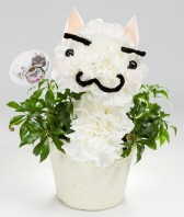 画像ギャラリー No.015のサムネイル画像 / 「どこでもいっしょ」“トロ”の誕生日イベントが5月5日,6日に銀座で開催