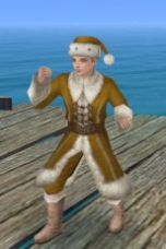 画像ギャラリー No.008のサムネイル画像 / 「大航海時代 Online」黄色いサンタ服が手に入るXmasイベントが11日に開始