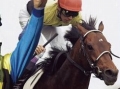 GI「未勝利馬」で頂点を目指せ！ 競走馬リアルカード連動型ゲーム 「オーナーズホース」で，6月30日に4Gamer Cup開催