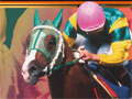ブラウザ競馬ゲーム「オーナーズホース」第3弾が11月23日に発売。伝説の快速馬や悲劇の名馬，さらにあの迷馬も登場