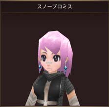 画像ギャラリー No.007のサムネイル画像 / 「イルーナ戦記オンライン」に強力な新ボス「雪竜リューディア」が登場。新ミッション「白雪の竜」公開も