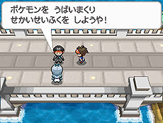画像ギャラリー No.013のサムネイル画像 / 「ポケットモンスターブラック2・ホワイト2」,1人でも100人でも遊べる新機能「フェスミッション」システムほか最新情報を一挙公開