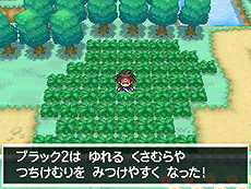 画像ギャラリー No.027のサムネイル画像 / 「ポケットモンスターブラック2・ホワイト2」,1人でも100人でも遊べる新機能「フェスミッション」システムほか最新情報を一挙公開