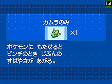 画像ギャラリー No.031のサムネイル画像 / 「ポケットモンスターブラック2・ホワイト2」,1人でも100人でも遊べる新機能「フェスミッション」システムほか最新情報を一挙公開