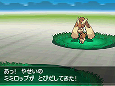 画像ギャラリー No.044のサムネイル画像 / 「ポケットモンスターブラック2・ホワイト2」,1人でも100人でも遊べる新機能「フェスミッション」システムほか最新情報を一挙公開