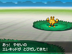 画像ギャラリー No.045のサムネイル画像 / 「ポケットモンスターブラック2・ホワイト2」,1人でも100人でも遊べる新機能「フェスミッション」システムほか最新情報を一挙公開