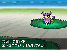 画像ギャラリー No.046のサムネイル画像 / 「ポケットモンスターブラック2・ホワイト2」,1人でも100人でも遊べる新機能「フェスミッション」システムほか最新情報を一挙公開