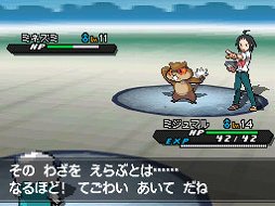 画像ギャラリー No.005のサムネイル画像 / 初めての人も，シリーズをやりこんだ人も楽しめる，DSポケモンの究極の形。「ポケットモンスターブラック2・ホワイト2」のインプレッションを掲載