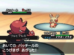 画像ギャラリー No.012のサムネイル画像 / 「ポケットモンスターブラック2・ホワイト2」のイベント情報と，「ポケモンワールドチャンピオンシップス2012」の映像が公開に