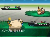 ポケットモンスターホワイト2