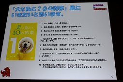 画像ギャラリー No.039のサムネイル画像 / ［CEDEC 2012］「パズル＆ドラゴンズ」成功のポイントは「嫁レビュー」。プロデューサー山本大介氏の語る人気アプリが生まれた背景とは