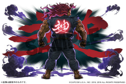 画像ギャラリー No.005のサムネイル画像 / 「パズドラ」,対戦格闘ゲーム「ストリートファイターV AE」とのコラボイベントが2月18日にスタート。参戦キャラのイラストも公開に