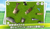 画像ギャラリー No.003のサムネイル画像 / 「REAL ANIMALS HD」「フリックピッグ」がAmazon Appstoreに本日登場