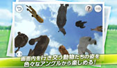 画像ギャラリー No.004のサムネイル画像 / 「REAL ANIMALS HD」「フリックピッグ」がAmazon Appstoreに本日登場