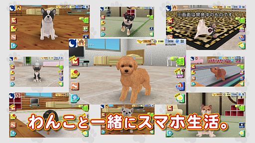 画像ギャラリー No.002のサムネイル画像 / 「わんこのじかん」テレビCM＆5つの犬種とカラーなどを紹介する動画を公開