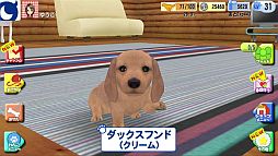 画像ギャラリー No.004のサムネイル画像 / 「わんこのじかん」テレビCM＆5つの犬種とカラーなどを紹介する動画を公開