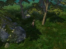 画像ギャラリー No.003のサムネイル画像 / 「疾風西遊記」のオープンβテストは4月12日15：00にスタート。参加者限定キャンペーンも開催