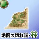 画像ギャラリー No.012のサムネイル画像 / Mobage「風来のシレン」地図を完成させて,アイテム満載の“塔”に挑め