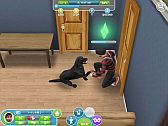 画像ギャラリー No.007のサムネイル画像 / 「The Sims フリープレイ」,裸足で過ごすチャリティーイベントが4月10日開催