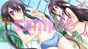 画像ギャラリー No.008のサムネイル画像 / 「桜花センゴク Portable」，サンプルボイス＆カスタムテーマの第2弾が公開