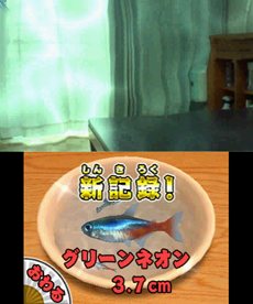 画像ギャラリー No.005のサムネイル画像 / 「みんなの縁日」は5月24日に発売。「金魚すくい」や「ヨーヨー釣り」などがいつでもみんなで楽しめる