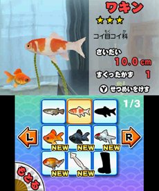 画像ギャラリー No.006のサムネイル画像 / 「みんなの縁日」は5月24日に発売。「金魚すくい」や「ヨーヨー釣り」などがいつでもみんなで楽しめる