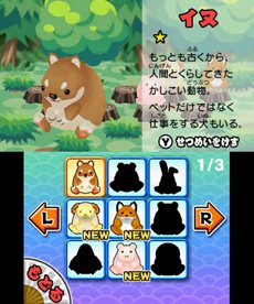 画像ギャラリー No.011のサムネイル画像 / 「みんなの縁日」は5月24日に発売。「金魚すくい」や「ヨーヨー釣り」などがいつでもみんなで楽しめる