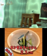 画像ギャラリー No.009のサムネイル画像 / 3DS「みんなの縁日」が本日発売。「金魚すくい」や「射的」に最大4人が挑戦できる，本作のダウンロードプレイに関する情報が公開