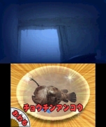 画像ギャラリー No.010のサムネイル画像 / 3DS「みんなの縁日」が本日発売。「金魚すくい」や「射的」に最大4人が挑戦できる，本作のダウンロードプレイに関する情報が公開
