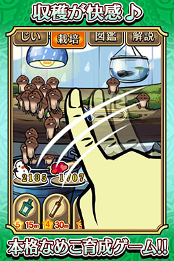 画像ギャラリー No.003のサムネイル画像 / 【PR】「アプリ＆レビュー」2012年5月のAndroidゲームアクセスランキング，1位は「おさわり探偵なめこ栽培キット Seasons」！
