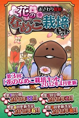 画像ギャラリー No.012のサムネイル画像 / 「おさわり探偵 なめこ栽培キット Seasons」が更新。4月のテーマは「花」
