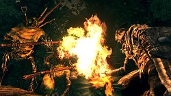 画像ギャラリー No.008のサムネイル画像 / ［E3 2012］「DARK SOULS with ARTORIAS OF THE ABYSS EDITION」，冷や汗が止まらなくなる最新トレイラーとスクリーンショットが公開に