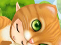 MMORPG「Cocoloa（ココロア）」の正式サービスは5月23日17：00にスタート。OBT初日に記録されたデータや，イベント情報も掲載