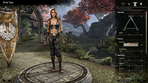 画像ギャラリー No.004のサムネイル画像 / 「The Elder Scrolls Online」のキャラクタークリエイション部分を解説するトレイラーが公開