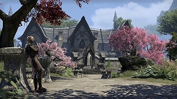 画像ギャラリー No.001のサムネイル画像 / 「The Elder Scrolls Online」PlayStation 4版でのプレイにプレミアムアカウントは必要なし