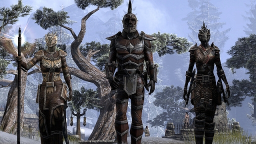画像ギャラリー No.002のサムネイル画像 / 「The Elder Scrolls Online」PlayStation 4版でのプレイにプレミアムアカウントは必要なし