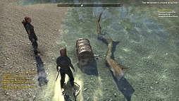 画像ギャラリー No.005のサムネイル画像 / 「The Elder Scrolls Online」βテストレポート。プレイの進み具合で変わるコンテンツの魅力