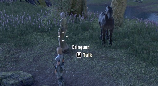 画像ギャラリー No.015のサムネイル画像 / 「The Elder Scrolls Online」βテストレポート。プレイの進み具合で変わるコンテンツの魅力