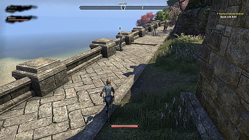 画像ギャラリー No.019のサムネイル画像 / 「The Elder Scrolls Online」βテストレポート。プレイの進み具合で変わるコンテンツの魅力