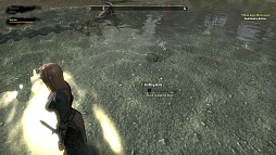画像ギャラリー No.020のサムネイル画像 / 「The Elder Scrolls Online」βテストレポート。プレイの進み具合で変わるコンテンツの魅力