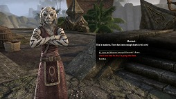 画像ギャラリー No.027のサムネイル画像 / 「The Elder Scrolls Online」βテストレポート。プレイの進み具合で変わるコンテンツの魅力