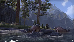 画像ギャラリー No.009のサムネイル画像 / ［E3 2015］Bethesdaのカンファレンスで「The Elder Scrolls Online」のアップデートプランが予告。帝国首都を含む新地域が多数実装か